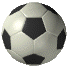 soccerball.gif (14024 bytes)